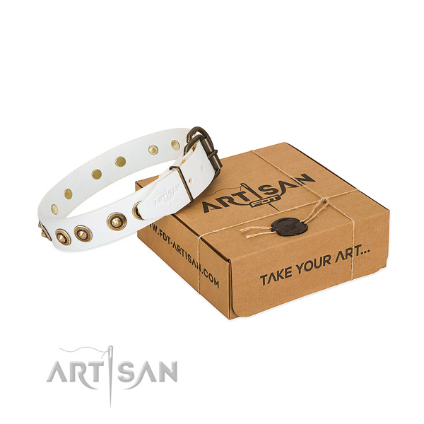 Strong adornments on full grain leather dog collar for your canine