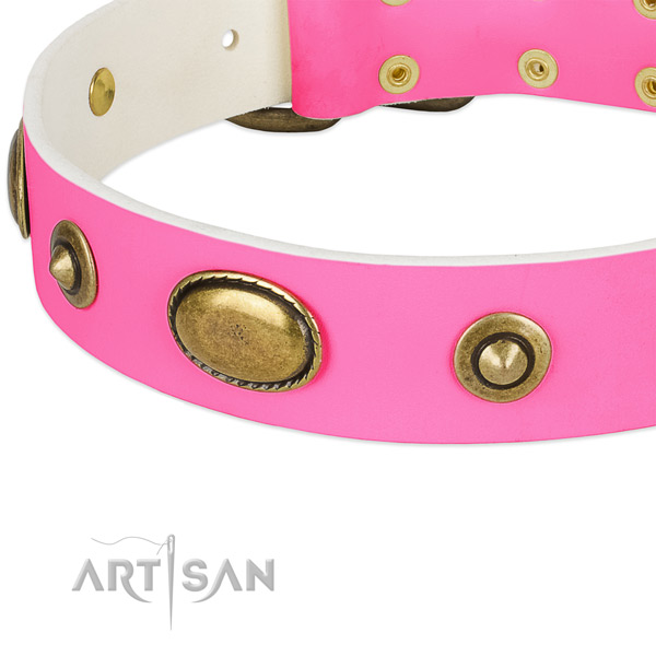 Durable embellishments on natural leather dog collar for your doggie