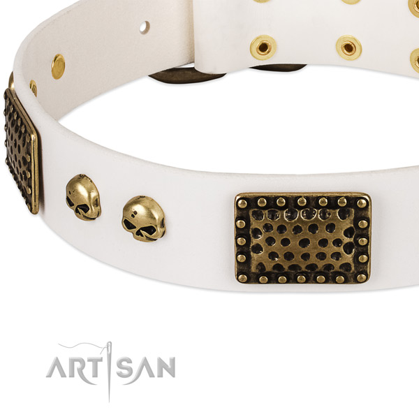 Reliable traditional buckle on natural leather dog collar for your pet