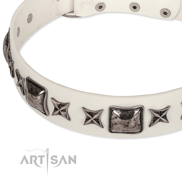 Fancy walking embellished dog collar of high quality full grain natural leather