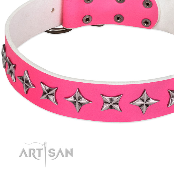 Everyday use decorated dog collar of best quality natural leather
