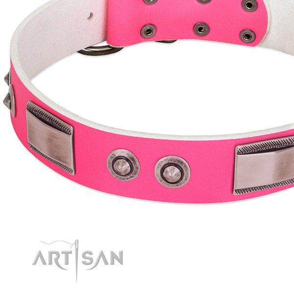 Trendy full grain leather collar with decorations for your dog
