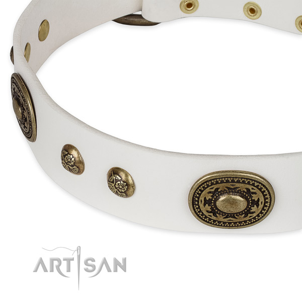 Stunning genuine leather collar for your beautiful doggie