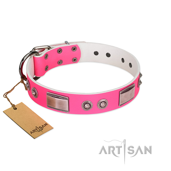Significant natural leather collar with adornments for your dog