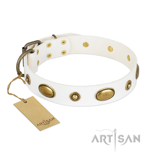 Exquisite genuine leather collar for your doggie