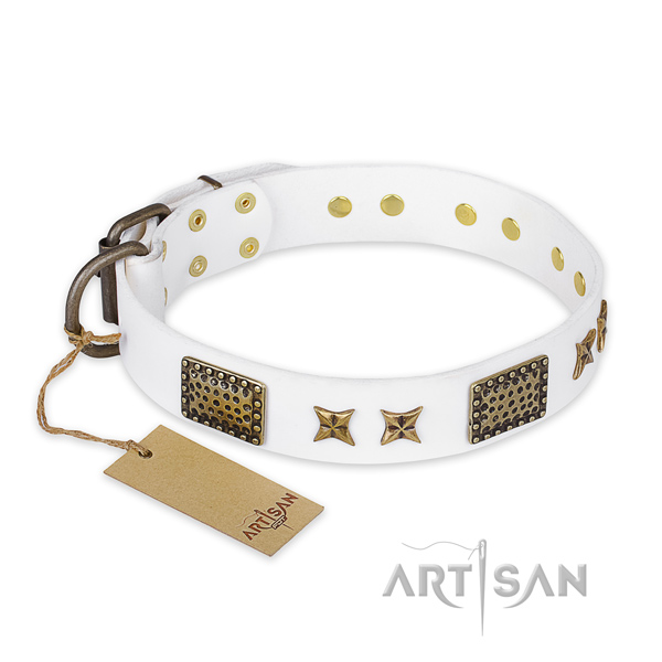 Amazing full grain natural leather dog collar with rust resistant buckle