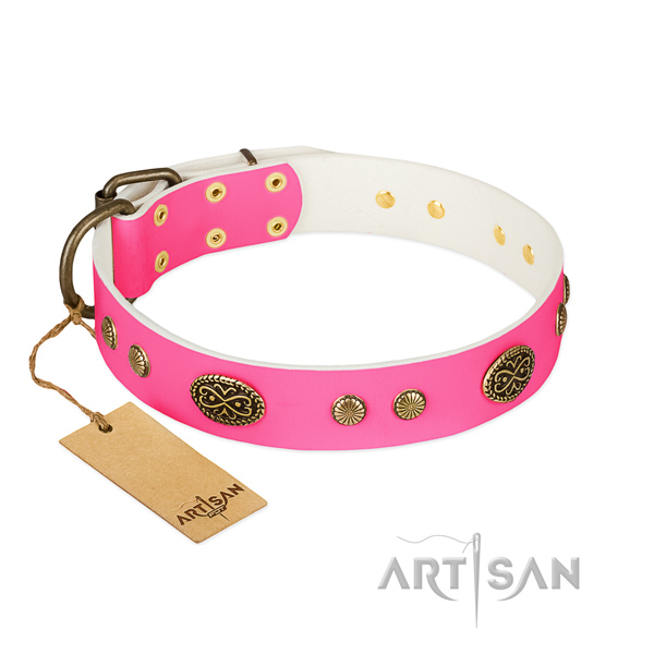 Corrosion proof adornments on natural leather dog collar for your dog
