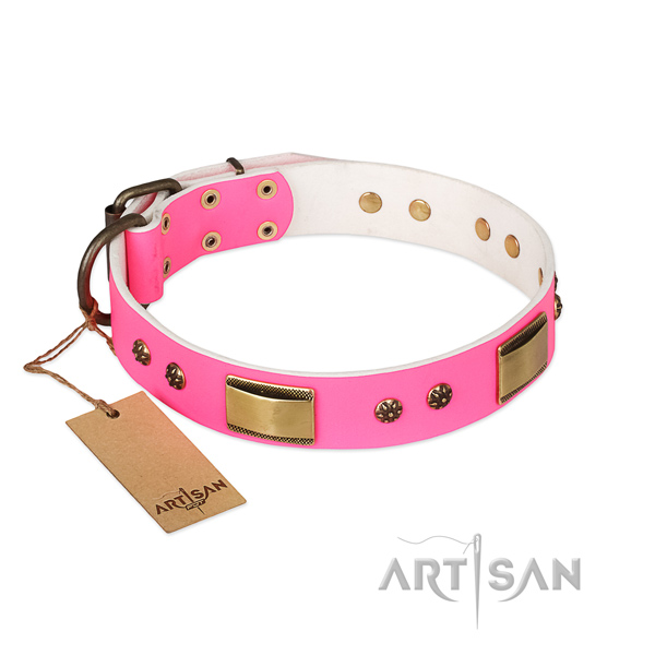 Top quality full grain leather collar for your canine