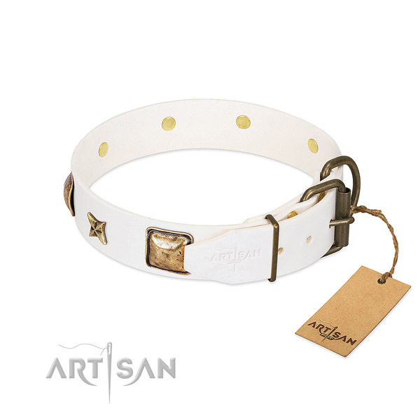 Full grain genuine leather dog collar with rust resistant fittings and studs