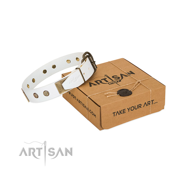 Rust-proof fittings on dog collar for handy use