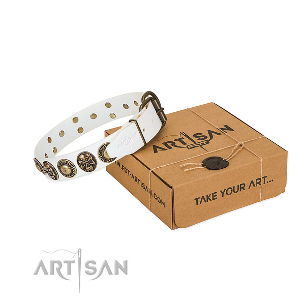 Corrosion proof traditional buckle on dog collar for everyday walking
