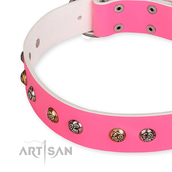 Full grain genuine leather dog collar with stunning corrosion proof adornments