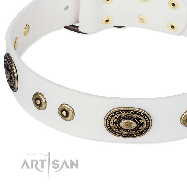 Full grain leather dog collar made of gentle to touch material with studs