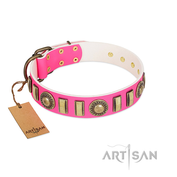 Unusual genuine leather dog collar with corrosion proof hardware
