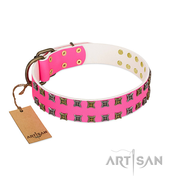Full grain leather collar with stylish design adornments for your pet