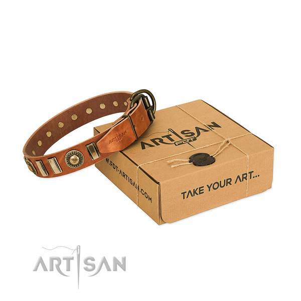 Quality natural leather dog collar with strong hardware