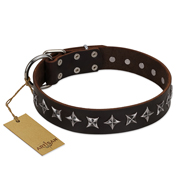 "Stars of Glory" FDT Artisan Brown Leather Doberman Collar for Comfortable Walking