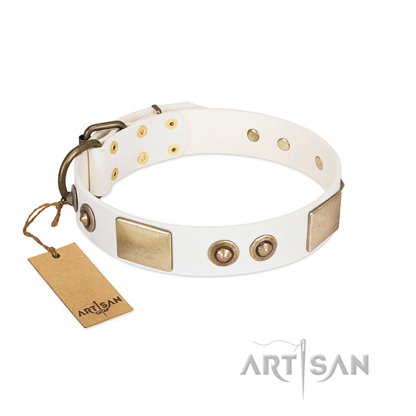Corrosion proof adornments on full grain genuine leather dog collar for your pet