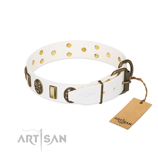 Reliable hardware on full grain natural leather collar for daily walking your four-legged friend