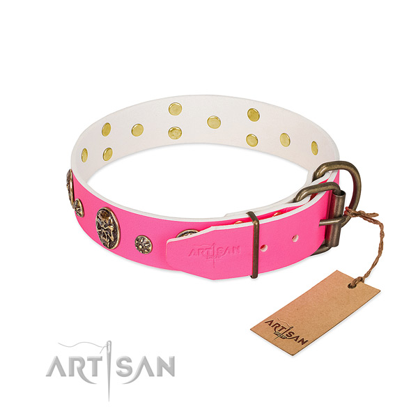 Durable fittings on genuine leather collar for fancy walking your doggie