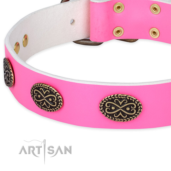 Leather dog collar with decorations for everyday walking