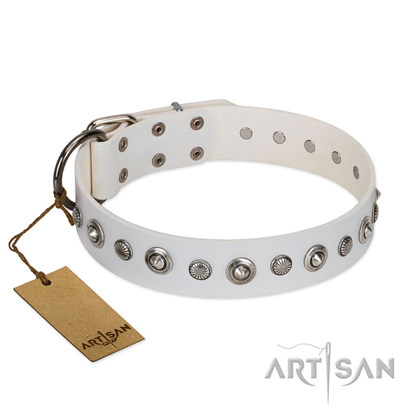 Finest quality genuine leather dog collar with exquisite decorations