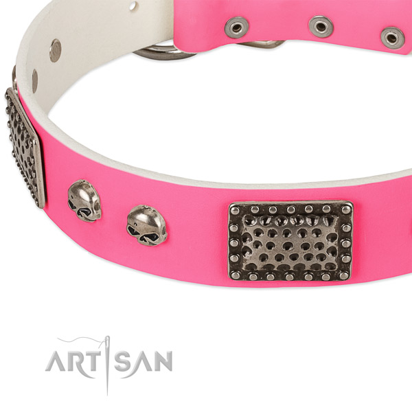 Rust-proof studs on leather dog collar for your canine