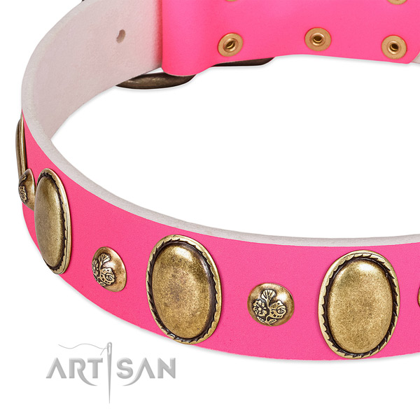 Daily walking top notch full grain leather dog collar
