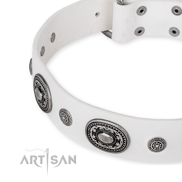 Flexible leather dog collar handcrafted for your lovely doggie