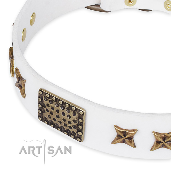Full grain leather collar with reliable fittings for your impressive dog