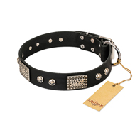 "Pirates Gold" FDT Artisan Black Leather Doberman Collar with Old Silver Look Plates and Skulls