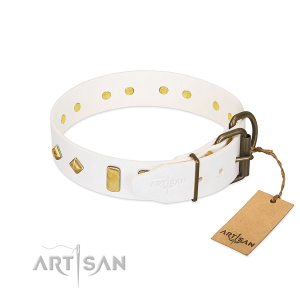 Quality leather dog collar with corrosion proof hardware