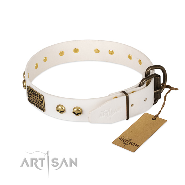 Adjustable natural leather dog collar for walking your canine