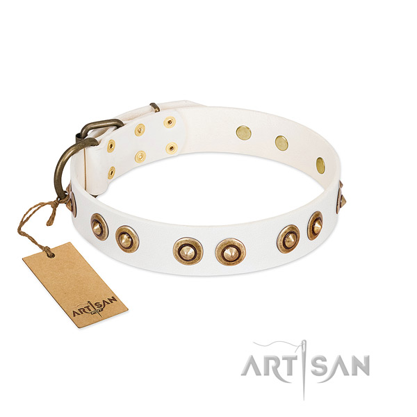 Inimitable natural leather collar for your pet