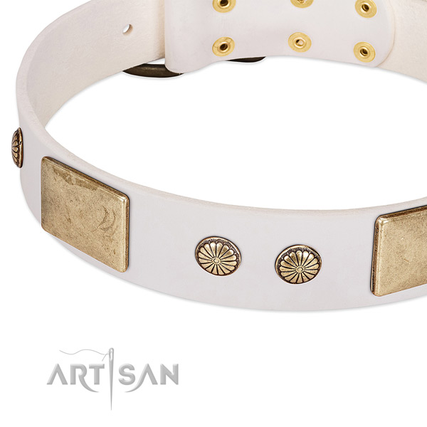 Rust-proof buckle on full grain genuine leather dog collar for your doggie