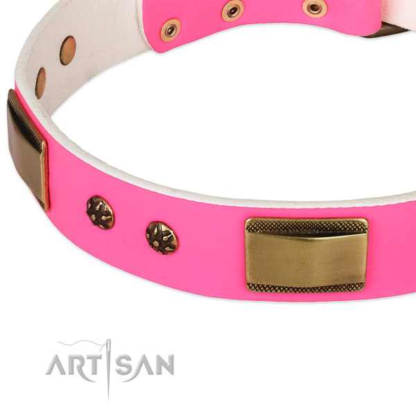 Rust resistant D-ring on genuine leather dog collar for your doggie