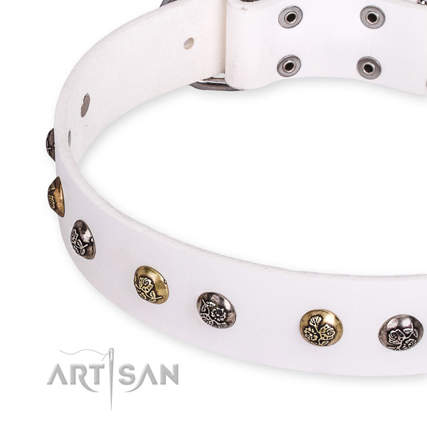 Leather dog collar with incredible strong decorations