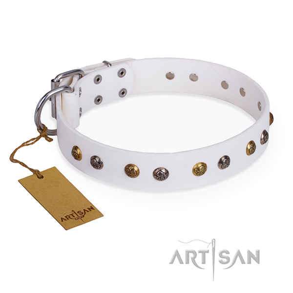 Basic training fine quality dog collar with corrosion resistant hardware