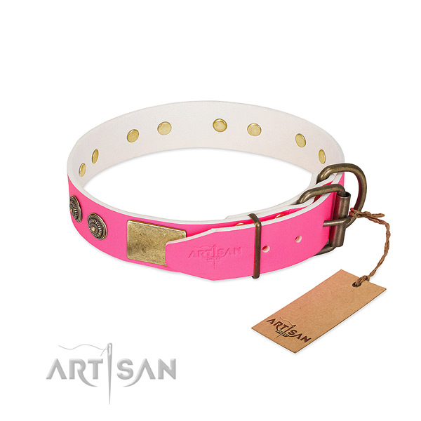Rust-proof hardware on natural genuine leather collar for stylish walking your canine