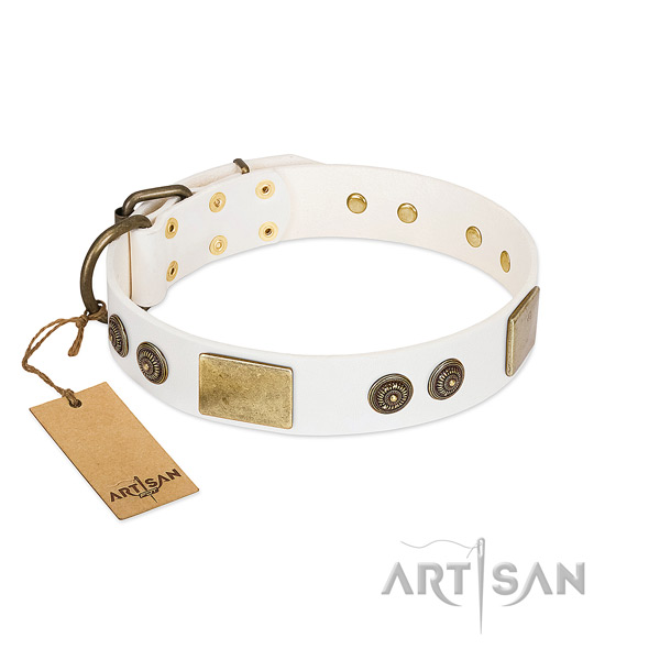 Stylish natural genuine leather dog collar for fancy walking