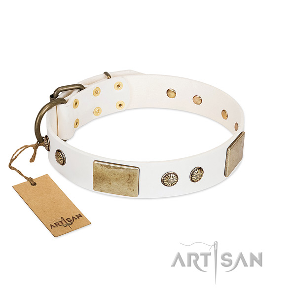 Adjustable genuine leather dog collar for basic training your pet