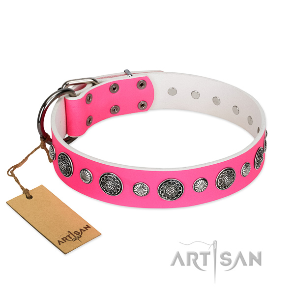 Best quality natural leather dog collar with rust resistant fittings
