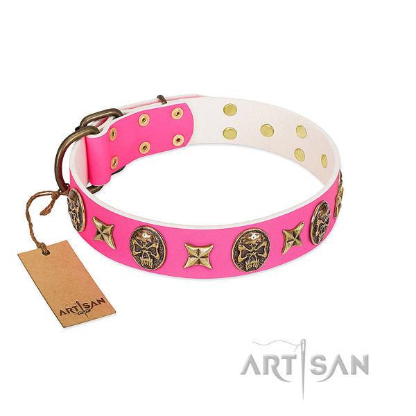 Full grain leather dog collar with corrosion proof embellishments