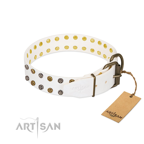 Leather collar with impressive adornments for your canine