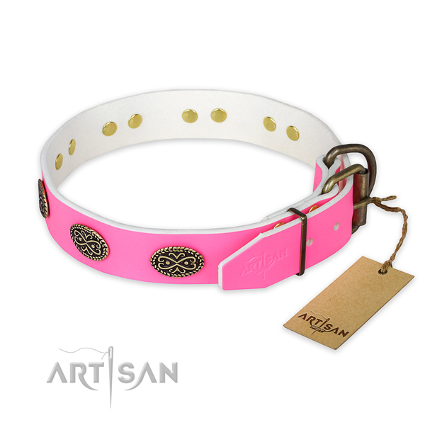 Rust-proof buckle on everyday walking dog collar