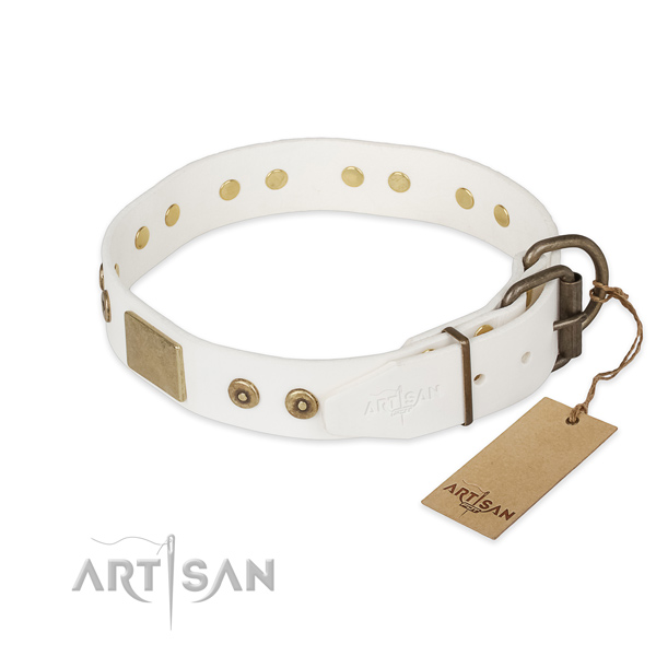 Leather dog collar with reliable fittings and studs