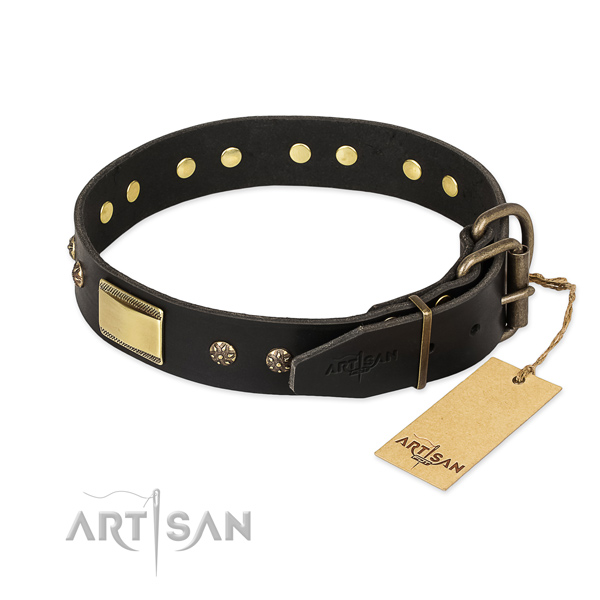 Genuine leather dog collar with corrosion proof fittings and studs