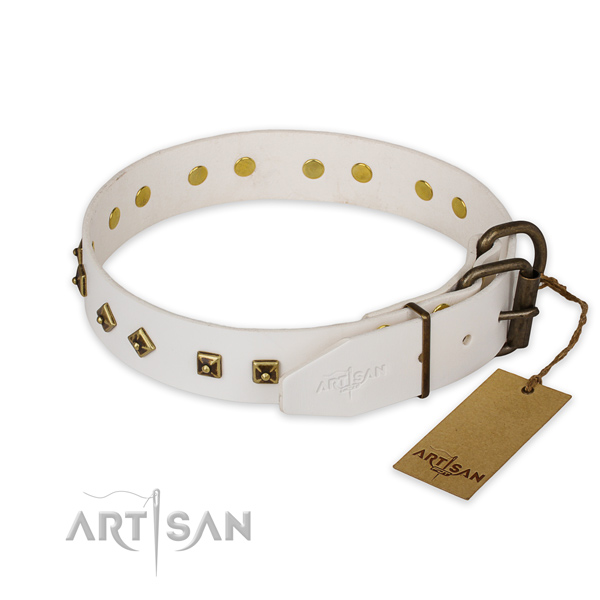 Corrosion proof fittings on full grain leather collar for stylish walking your canine