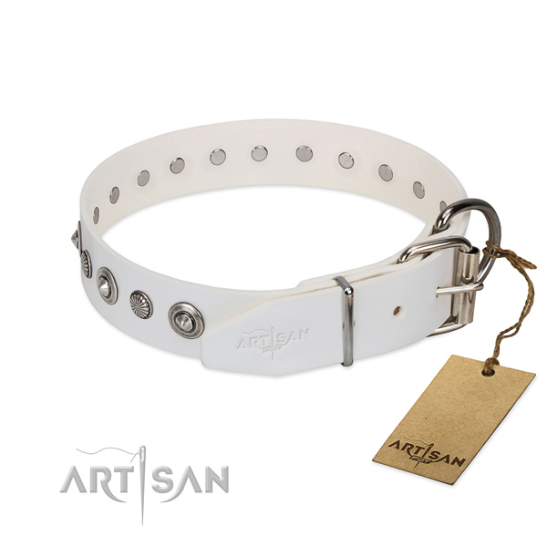 Reliable full grain genuine leather dog collar with significant adornments