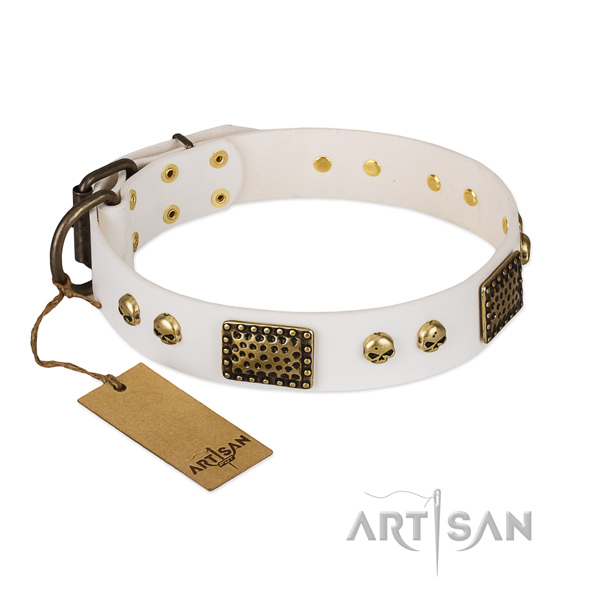 Durable studs on basic training dog collar